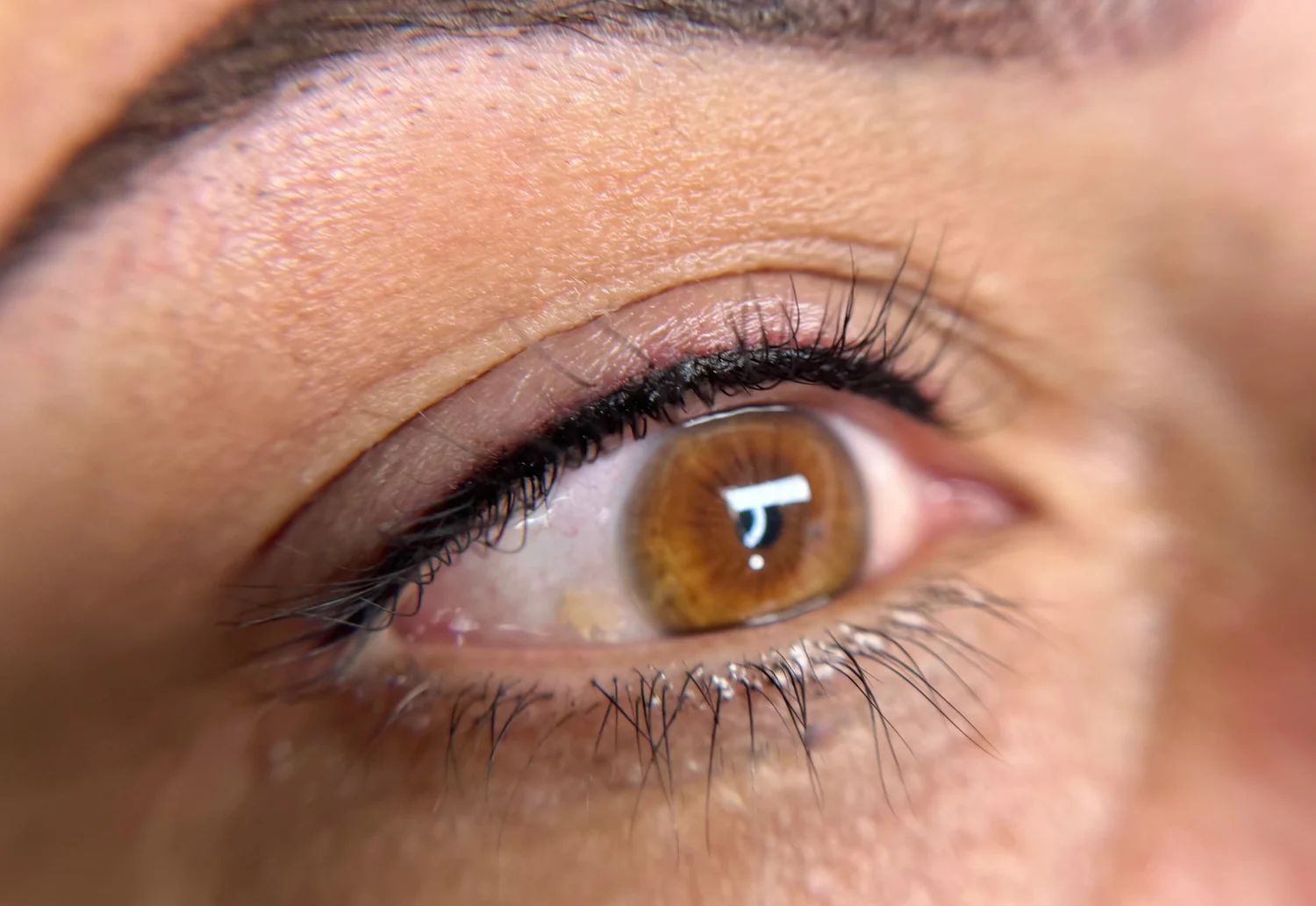 Lash line enhancement result